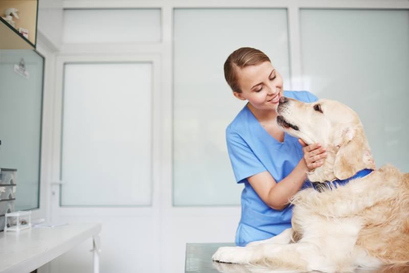 Veterinary medicine and food industry